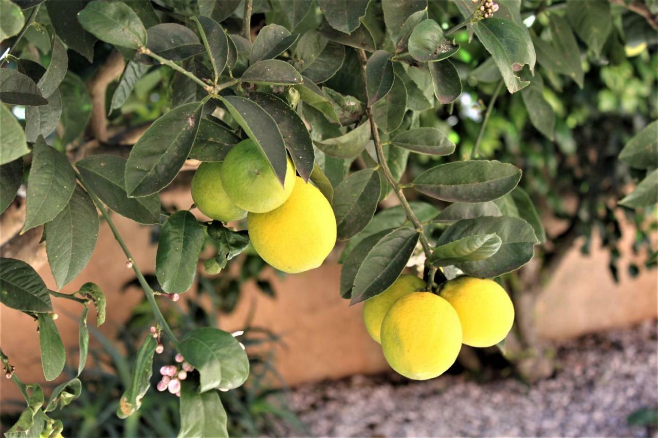 הוילה לאגוּ‏ש Casa Carinha מראה חיצוני תמונה